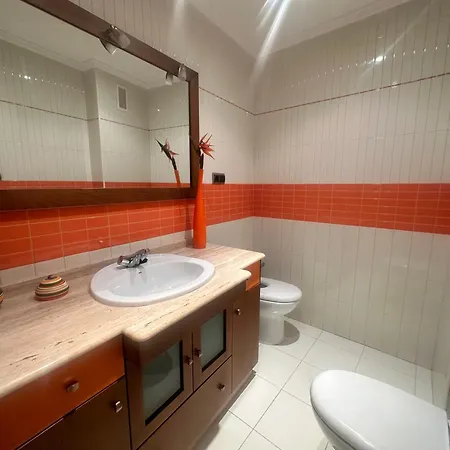 Homely Centro 公寓 *